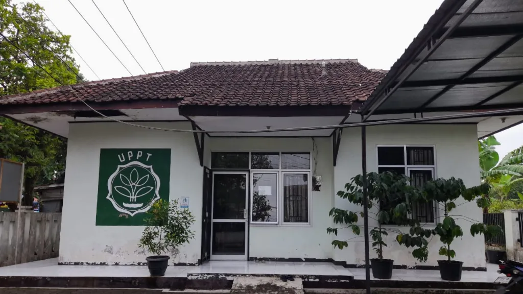 gambar ke-6