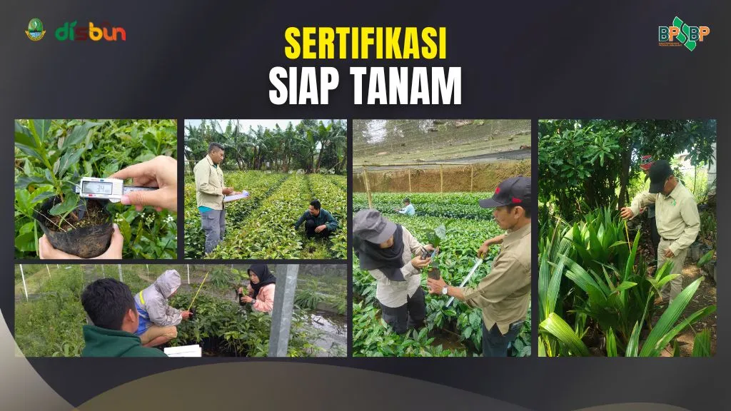 gambar ke-1
