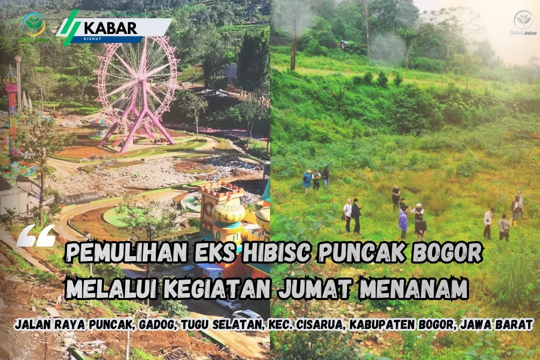 Poster post Pemulihan Eks Hibisc Puncak Bogor melalui Kegiatan Jumat Menanam