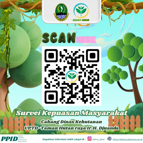 Gambar ke-11