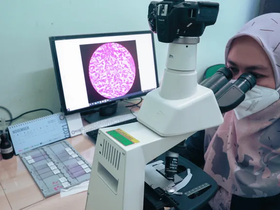 gambar ke-2
