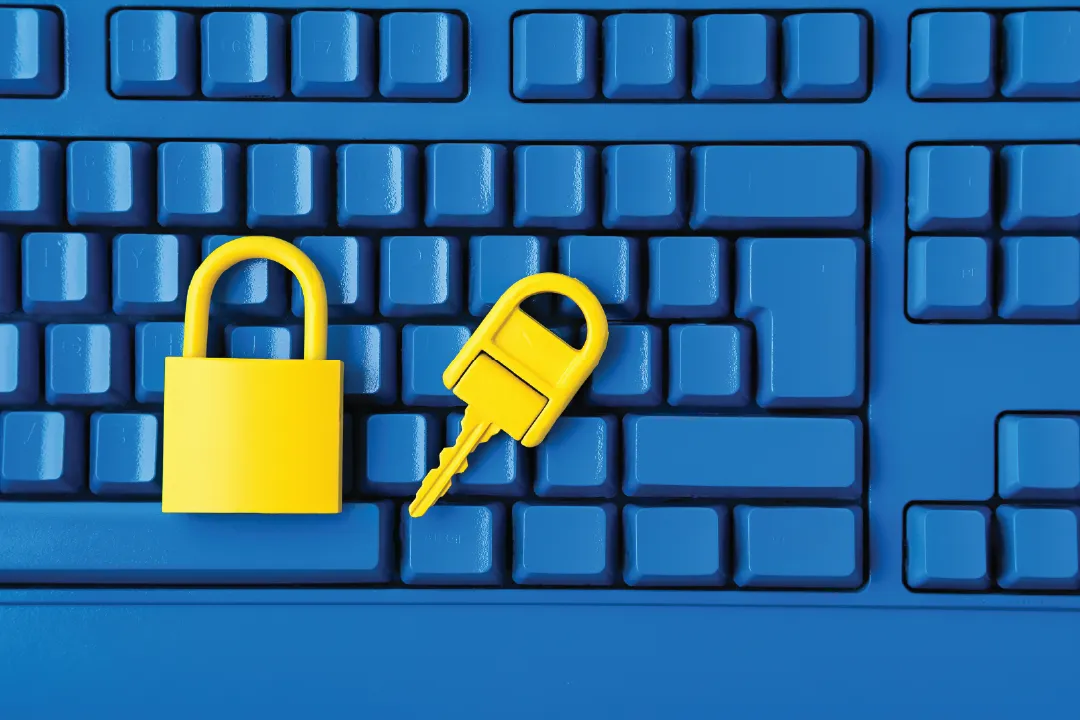 Waspadai Ekstensi Browser Berbahaya: Jangan Asal Pasang!